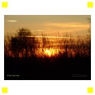 inka Foto Galerie